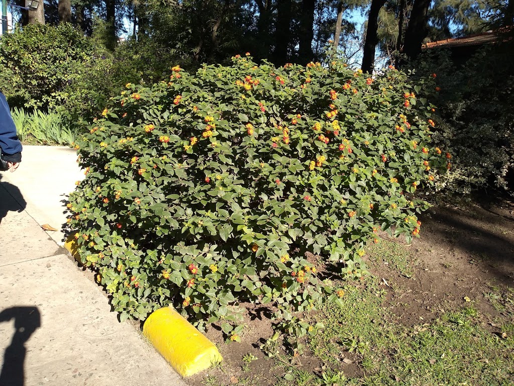 Parque De Lomas De Zamora 6