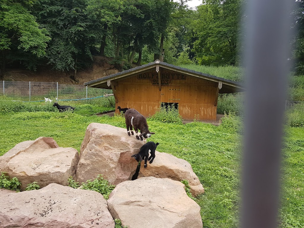 Foto  4