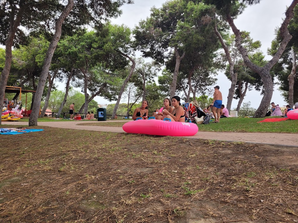 Foto  6