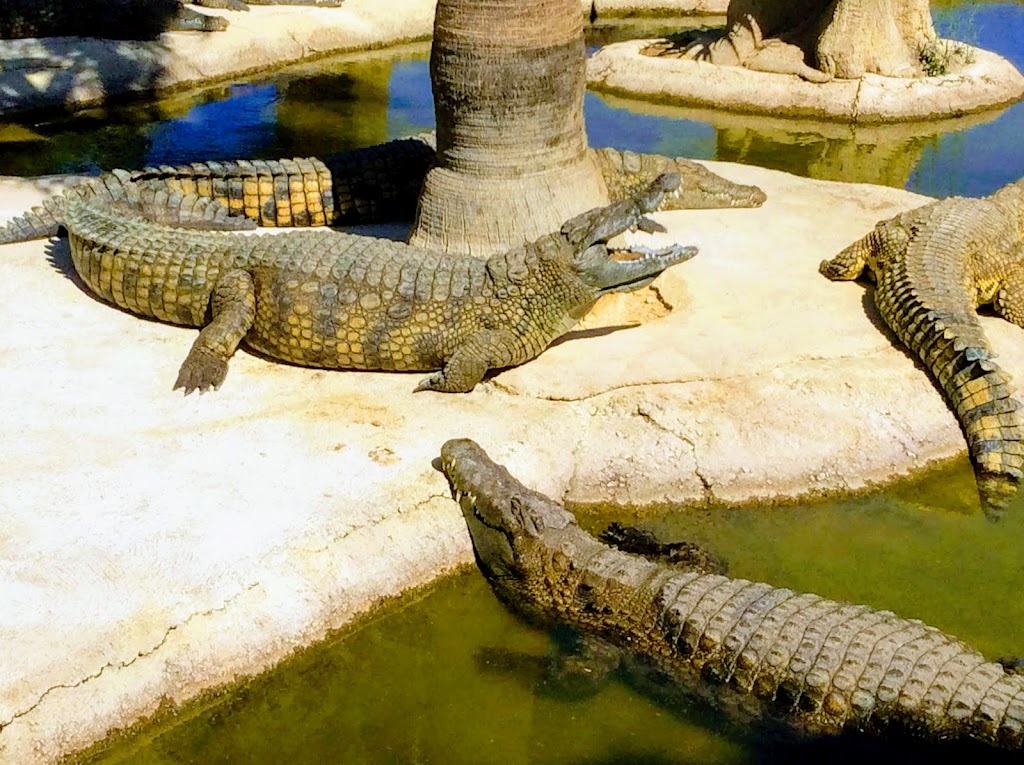 Foto  4