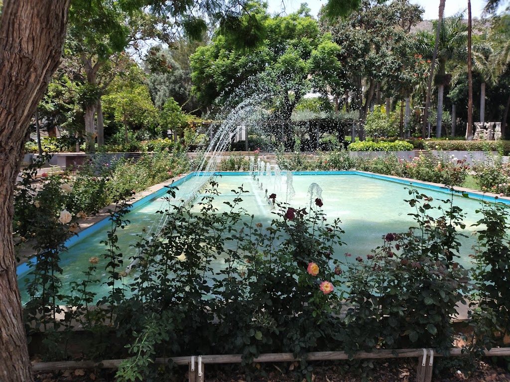 Foto  2