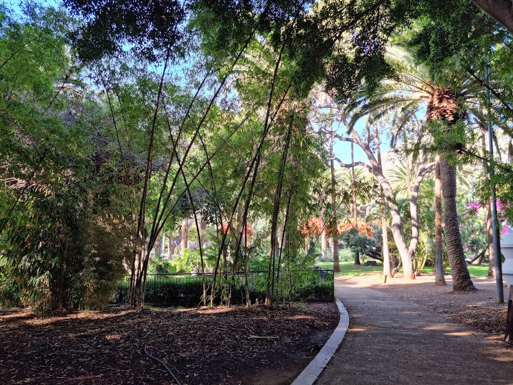 Foto  17