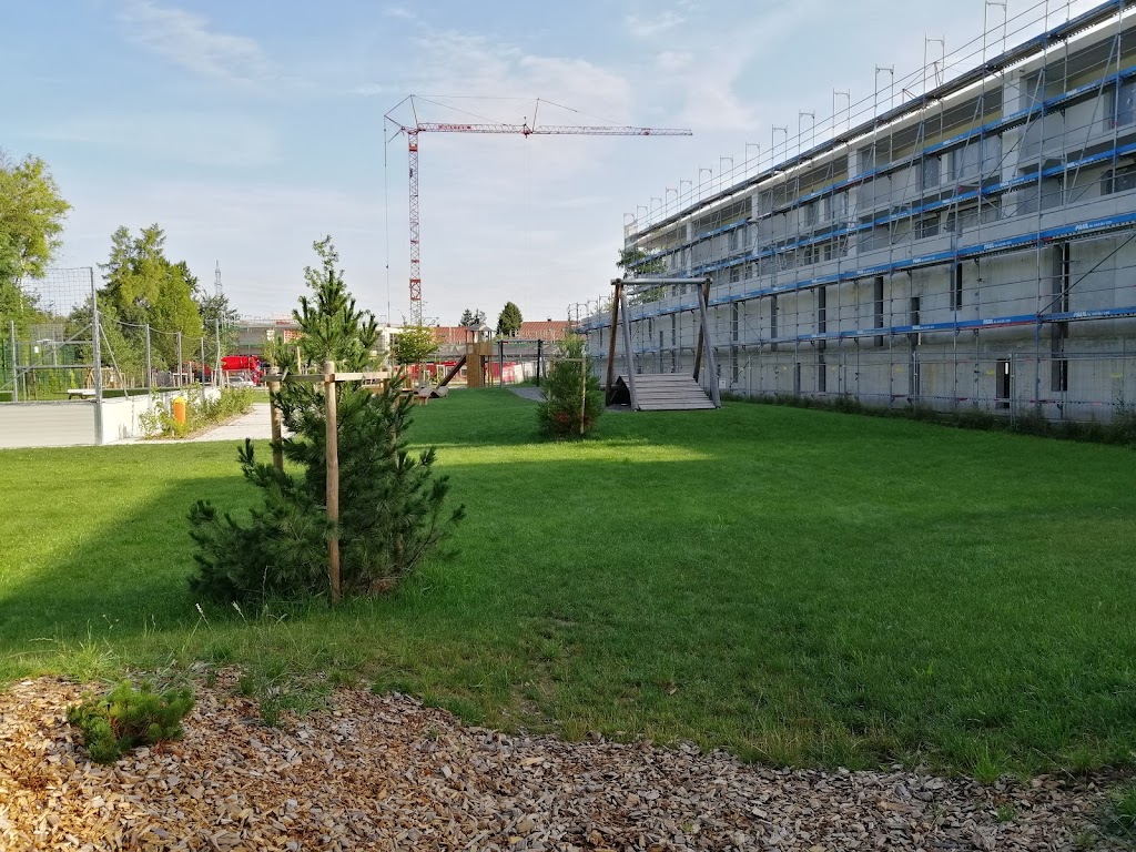 Foto  6