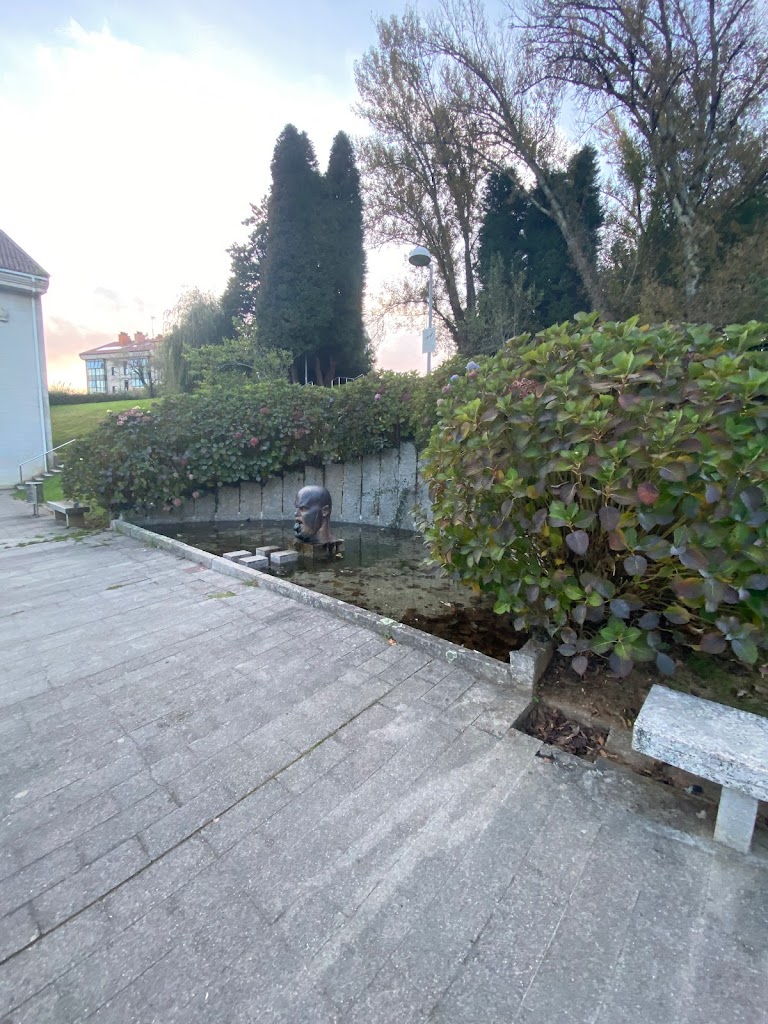 Foto  5