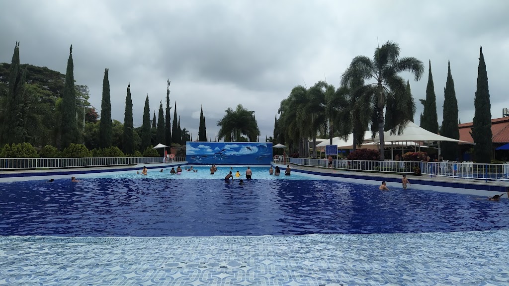 Foto  6