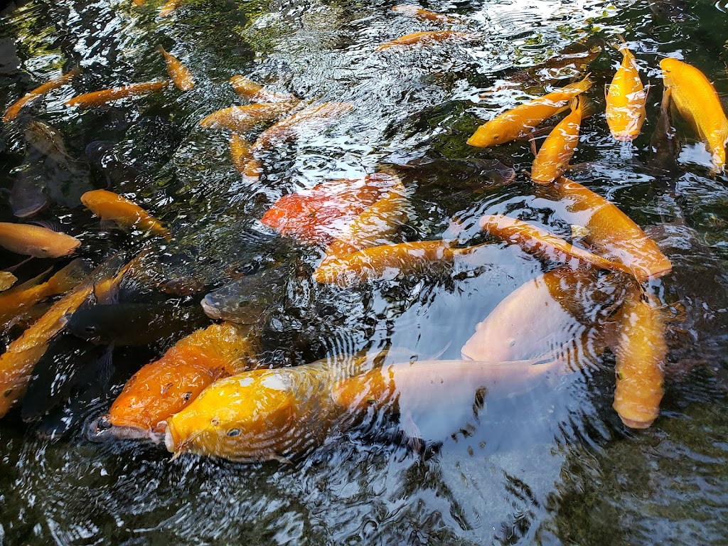 Foto  2
