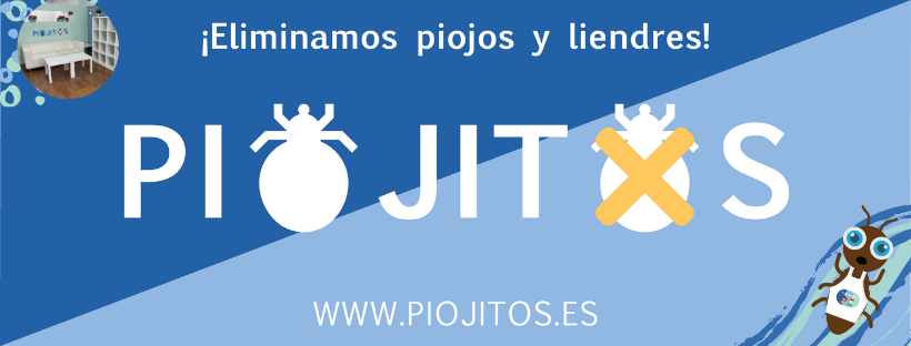 Foto  6
