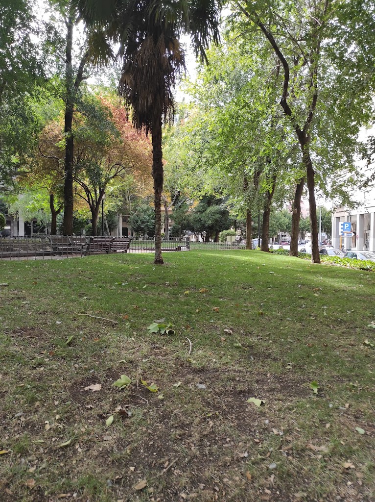 Parque Plaza la Catedral. 2
