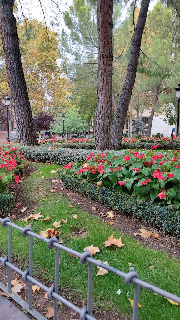 Parque Plaza la Catedral. 3