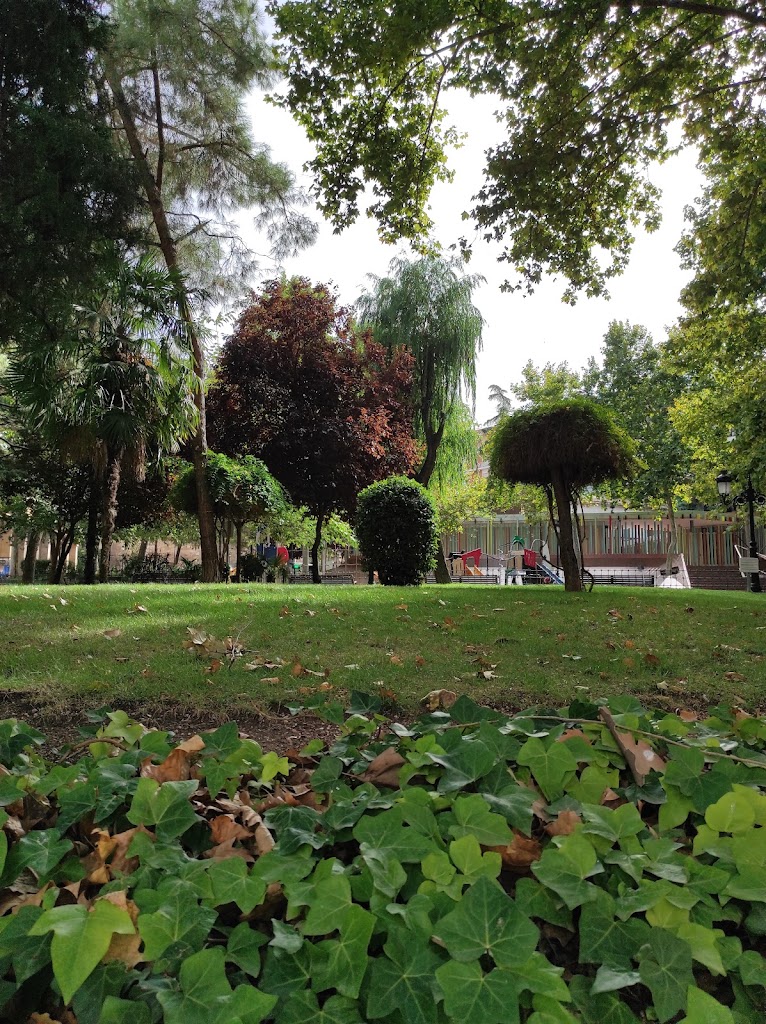 Foto  8