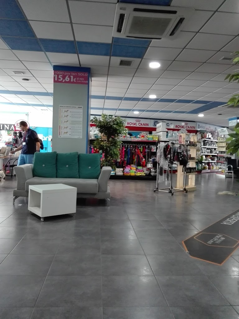 Foto  4