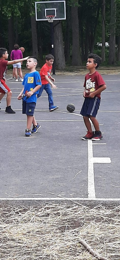 Foto  7