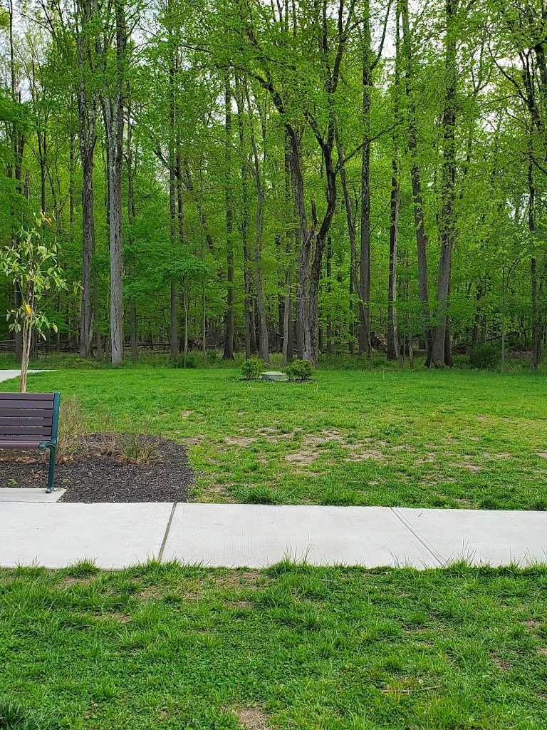 Foto  9