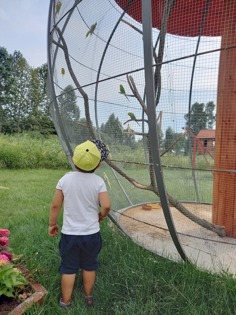 Foto  2