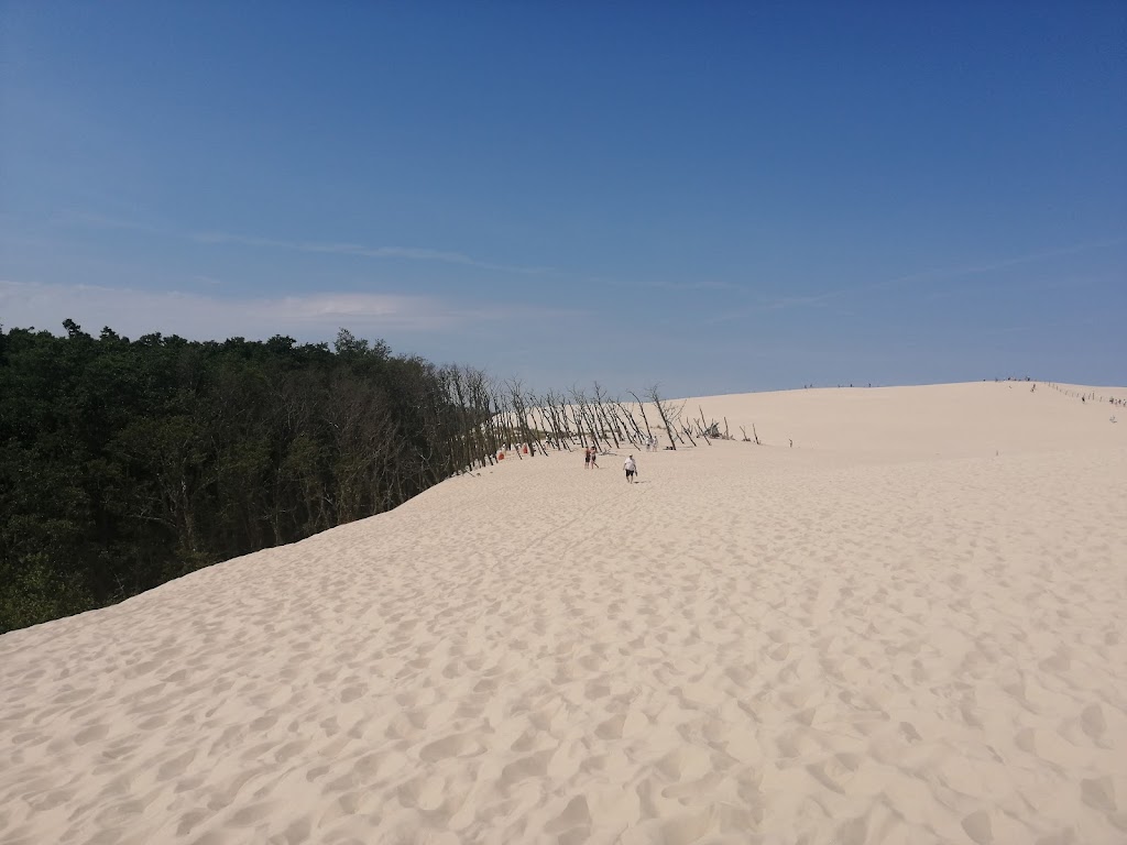 Foto  4