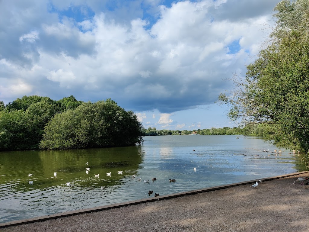 Dinton Pastures Country Park 1