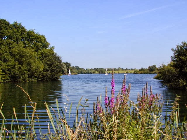 Dinton Pastures Country Park 4