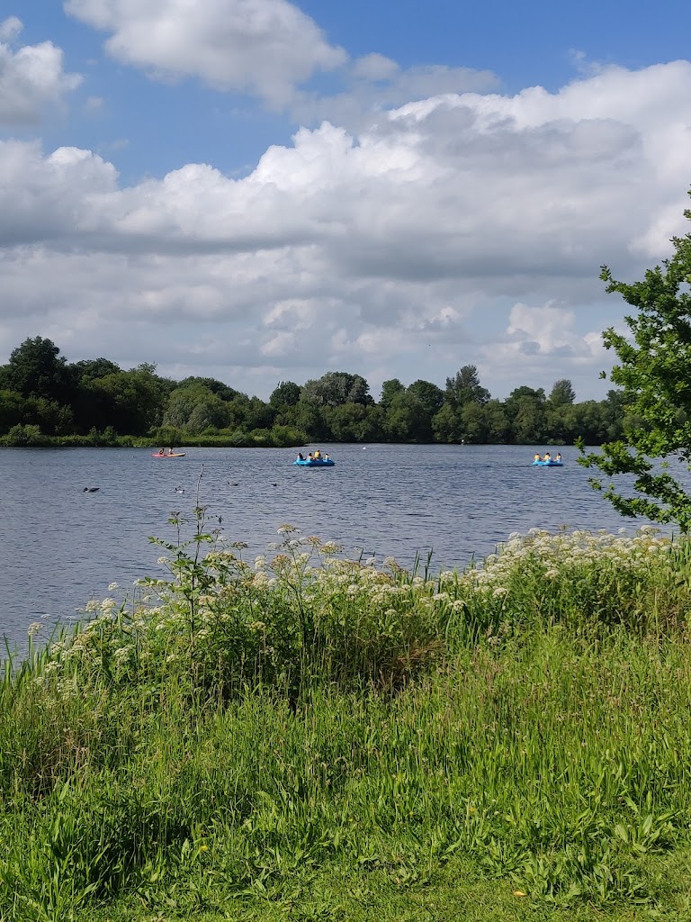 Dinton Pastures Country Park 5
