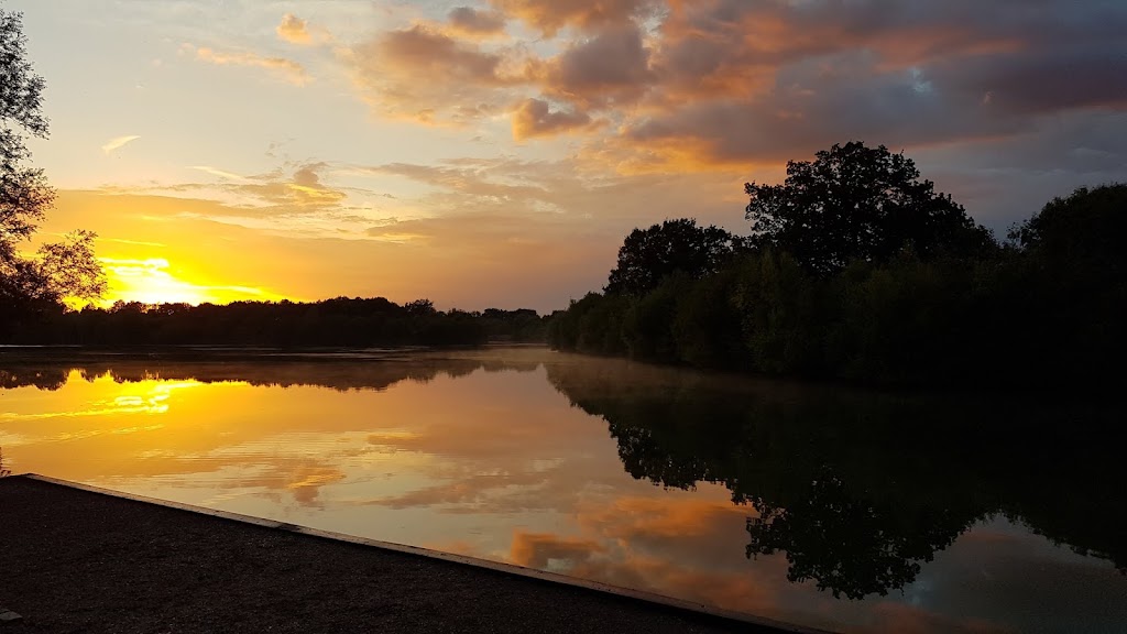 Dinton Pastures Country Park 6