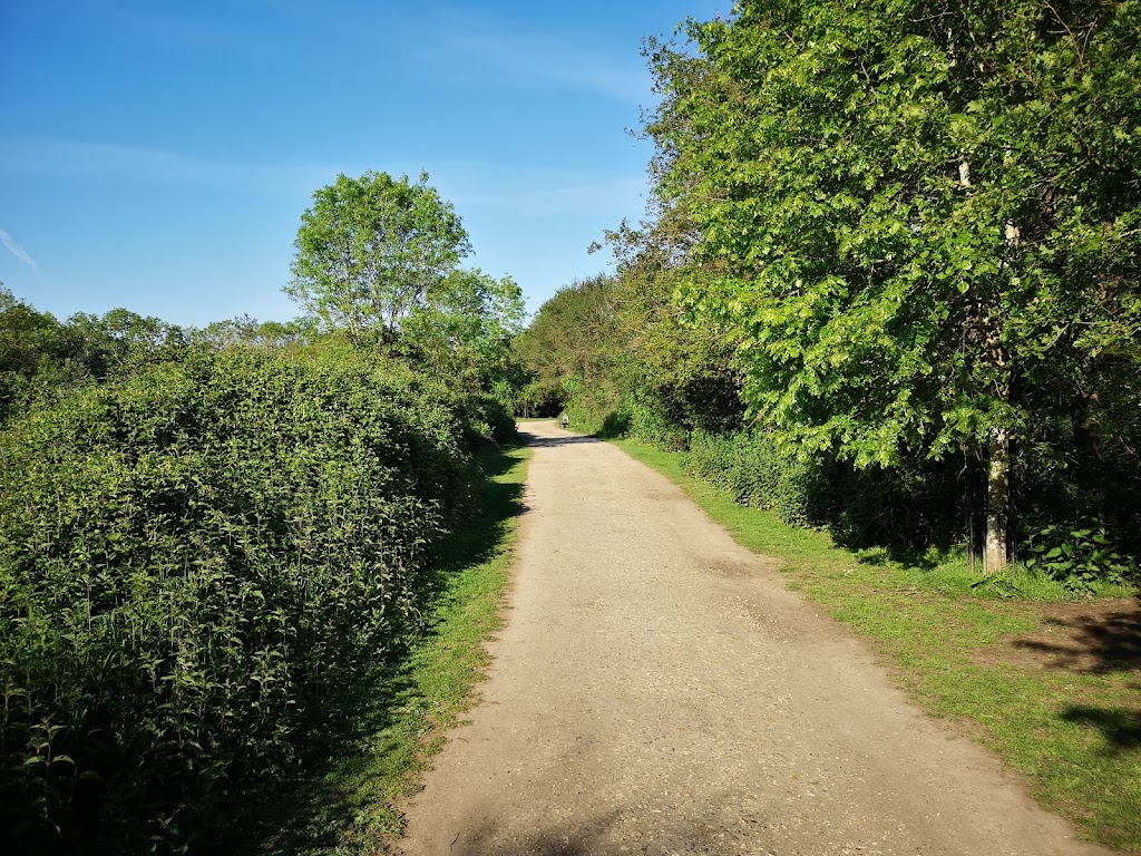 Dinton Pastures Country Park 7