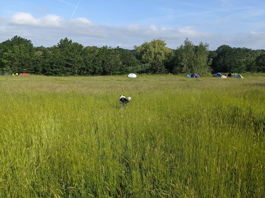 Dinton Pastures Country Park 10