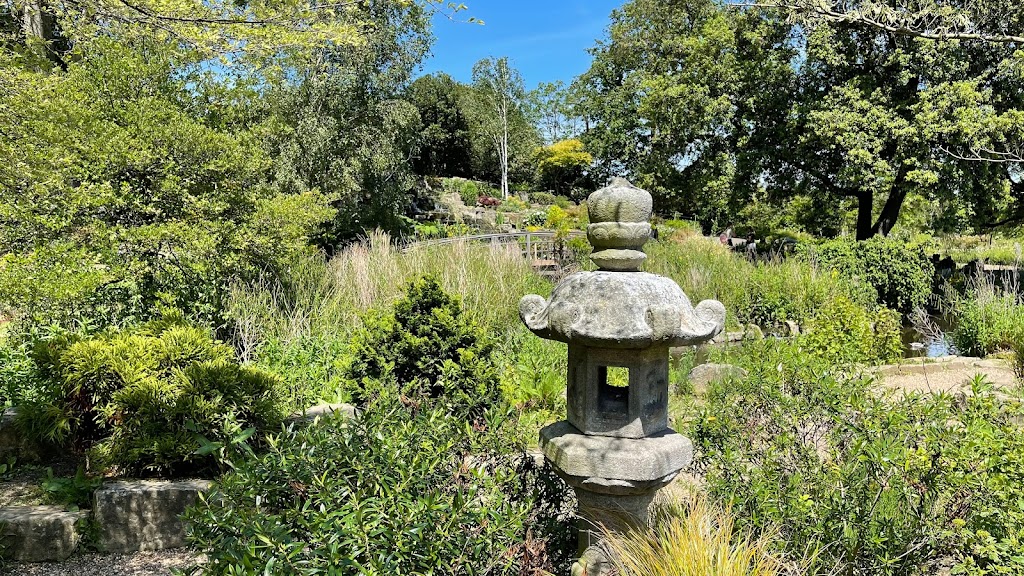 Foto  10