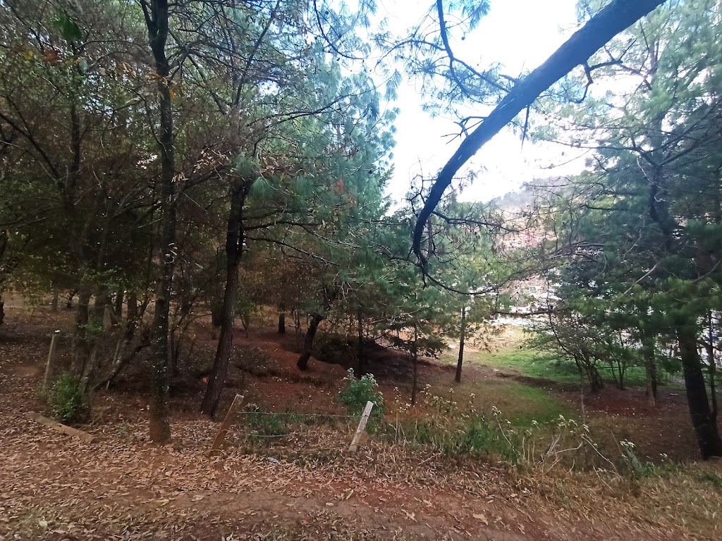 Foto  2