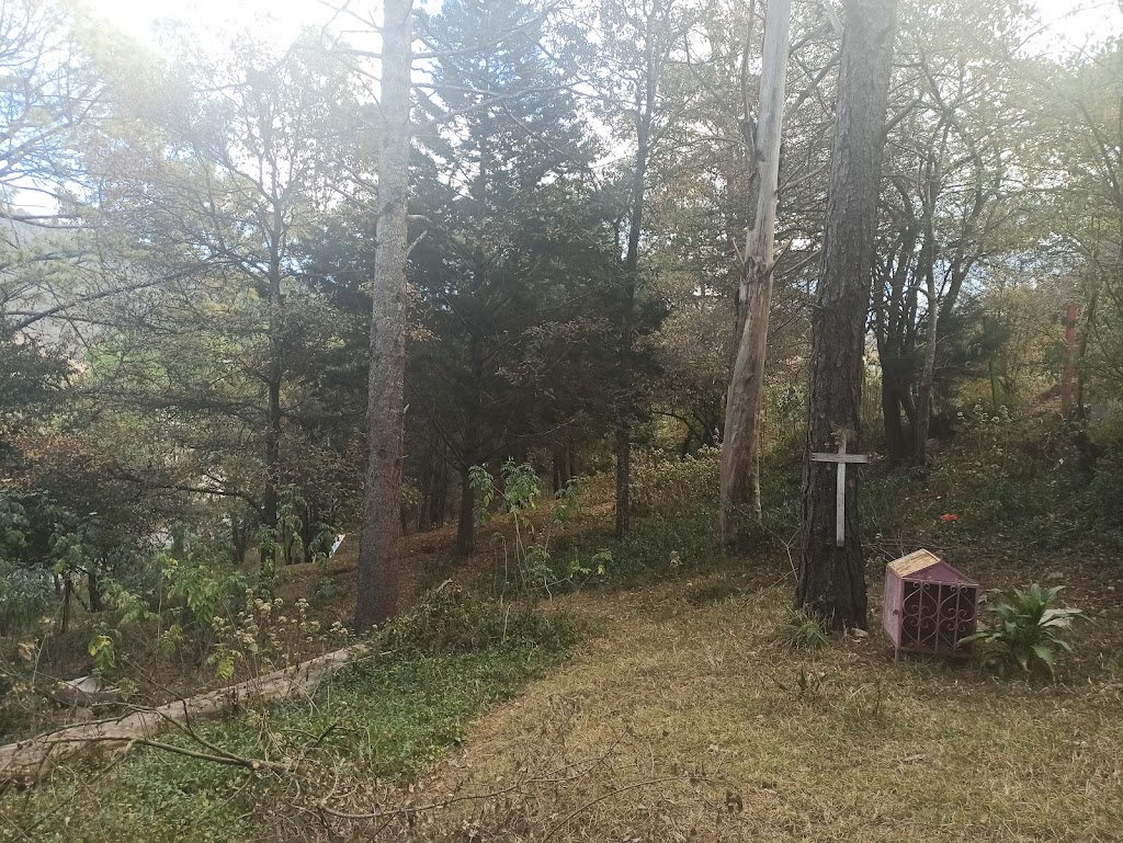 Foto  3