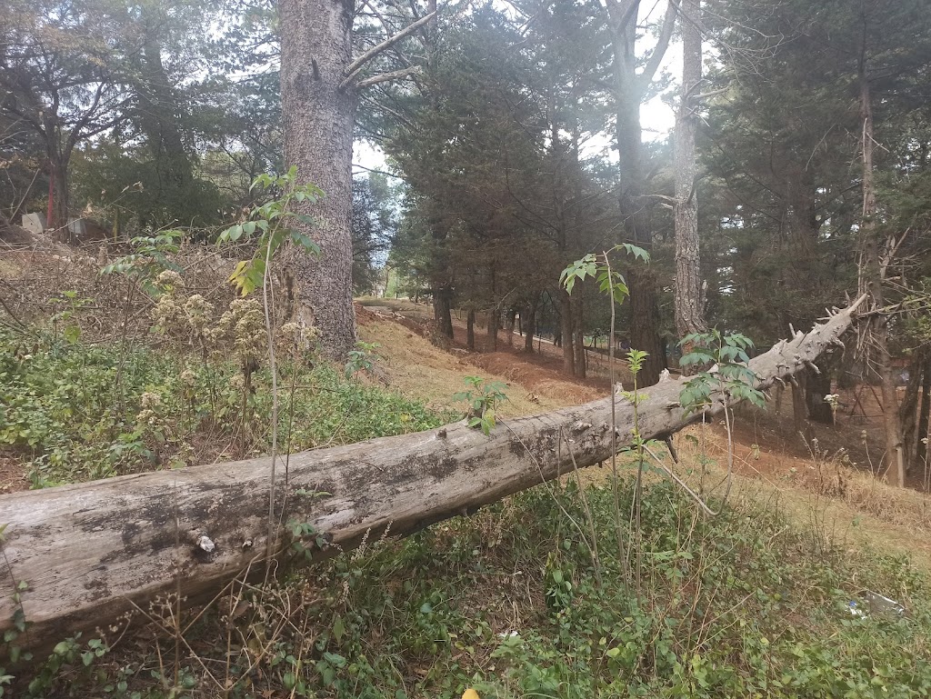 Foto  4