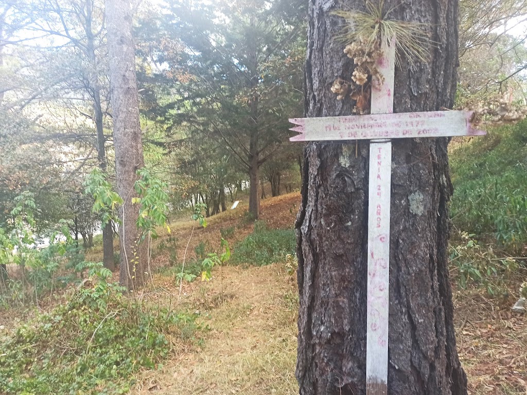 Foto  6
