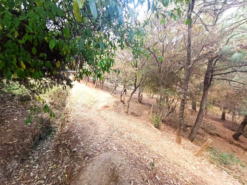Foto  8