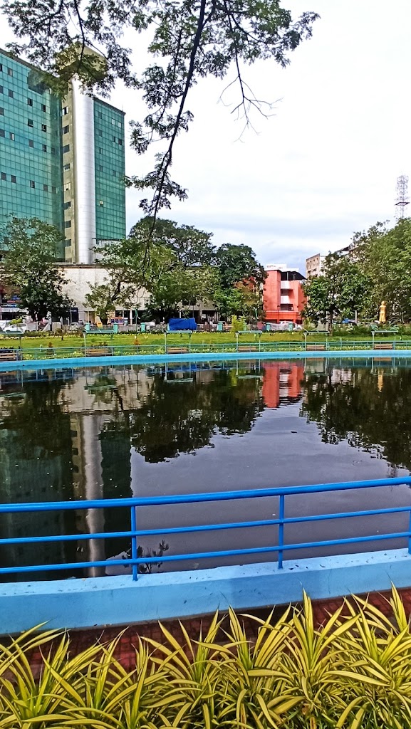 Foto  5
