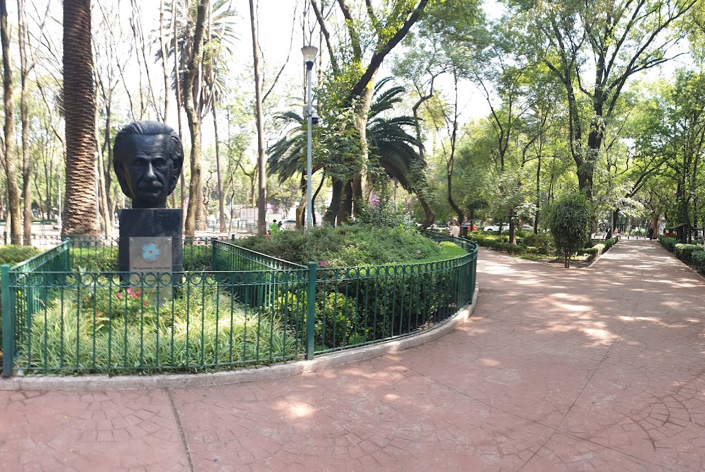 Foto  5