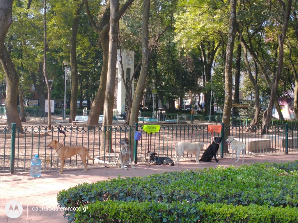 Foto  8