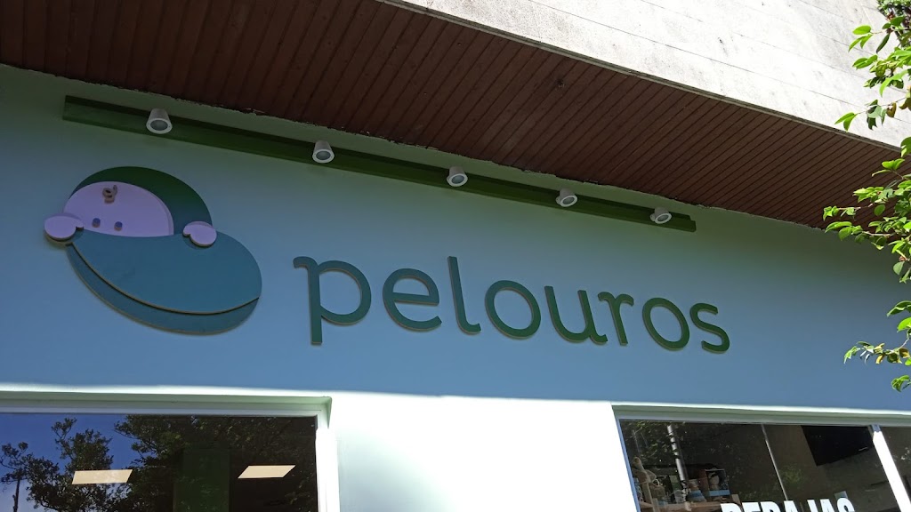 Pelouros Pontevedra 9