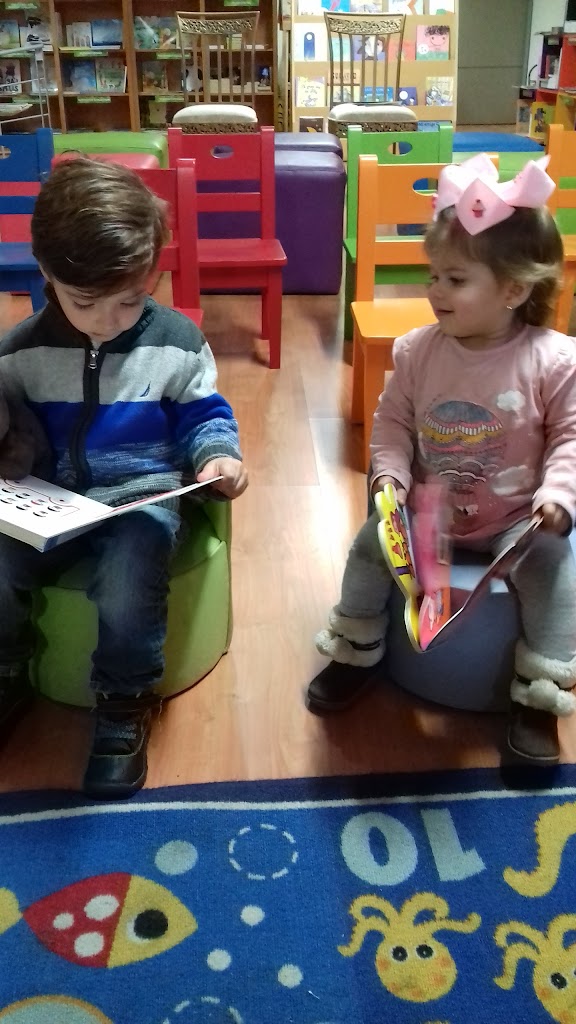 Foto  5