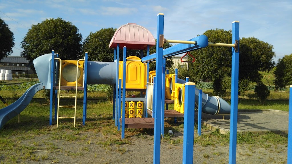Foto  8