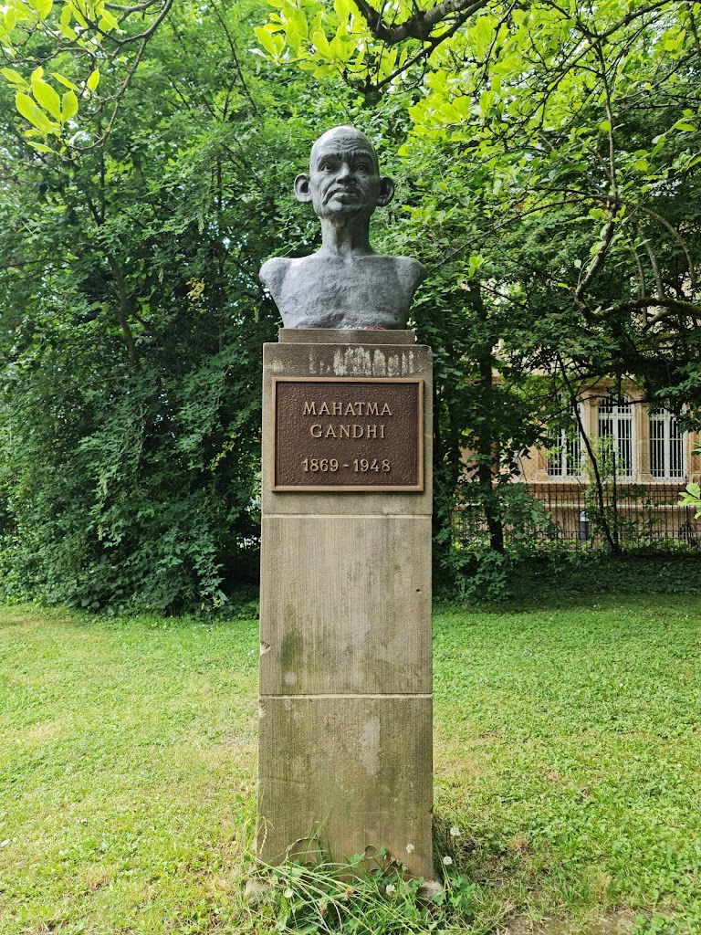 Foto  10
