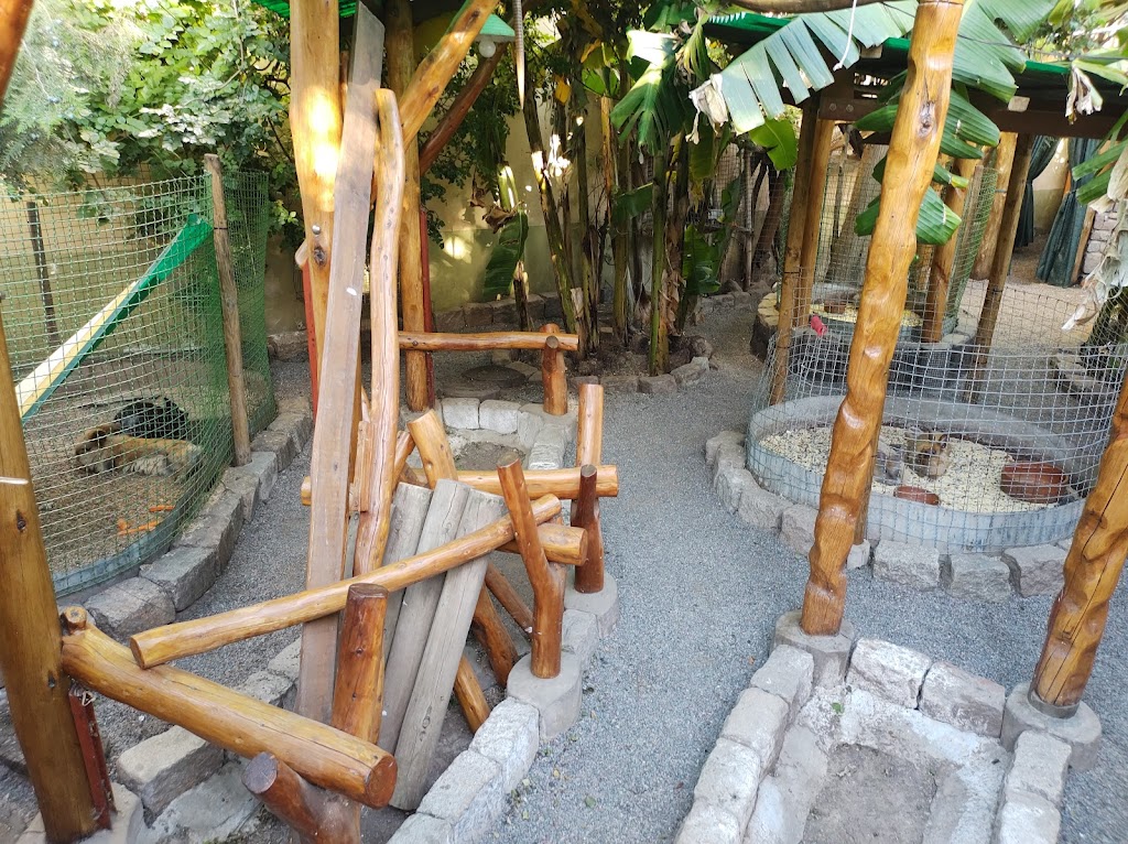 Foto  10