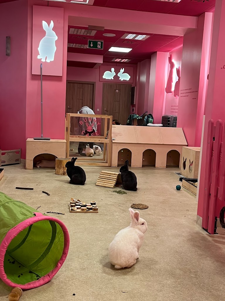 Foto  14