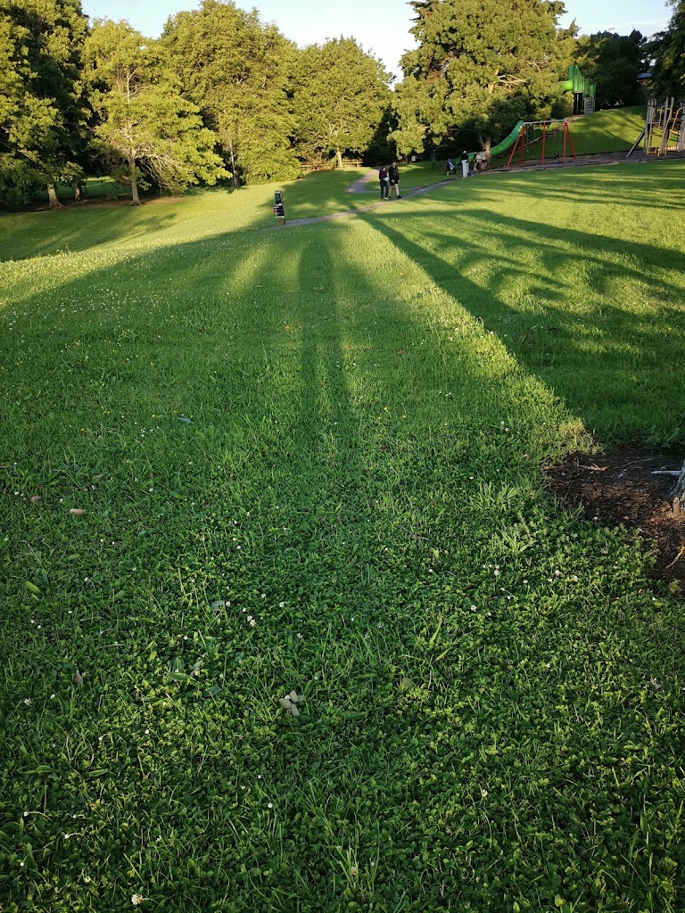 Foto  5