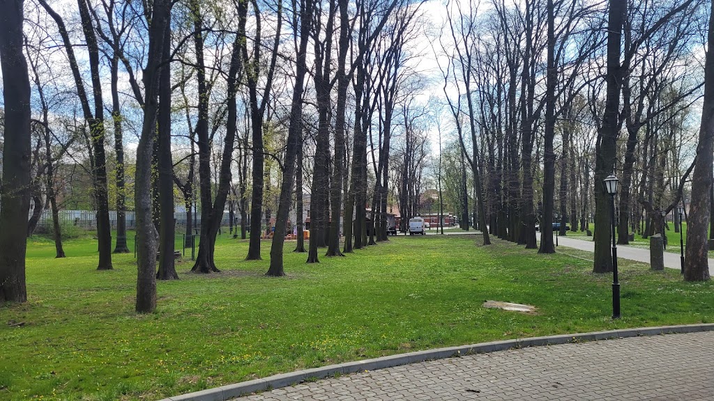 Foto  9
