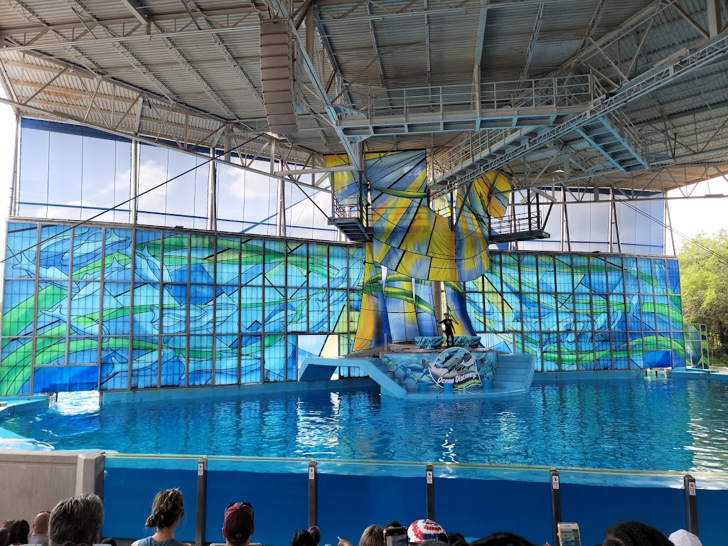 Foto  4