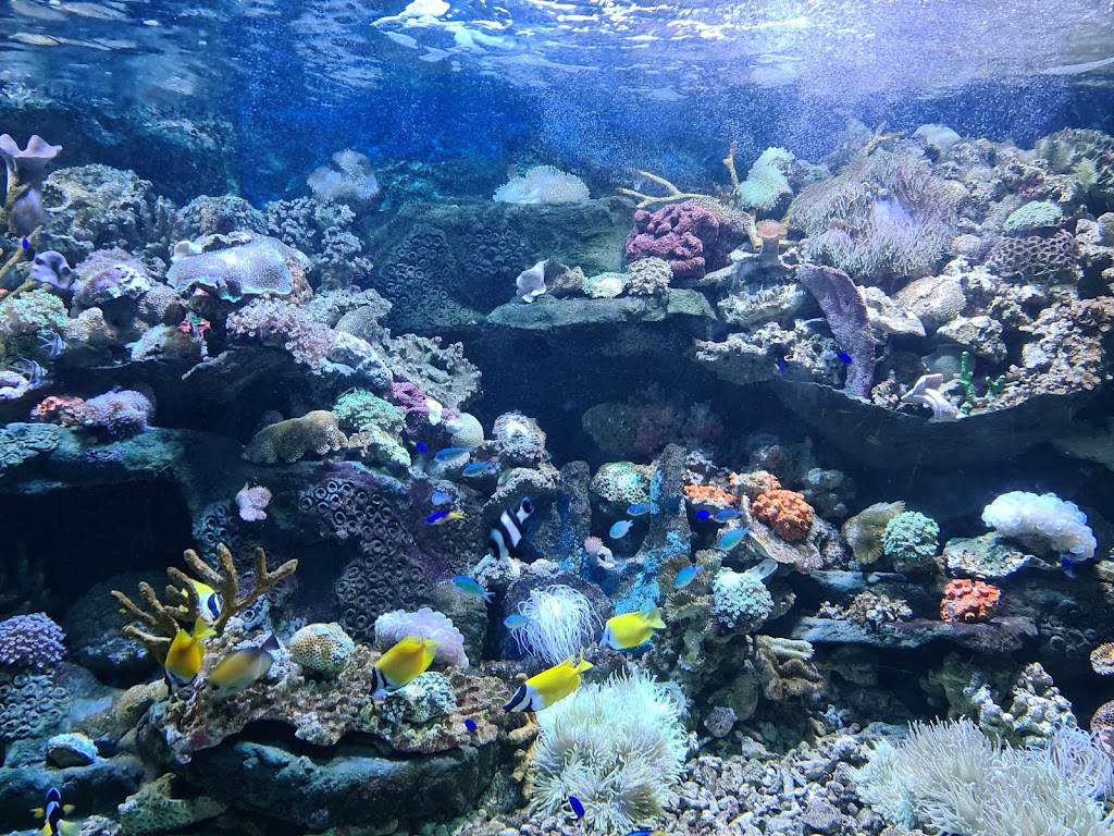 Foto  3