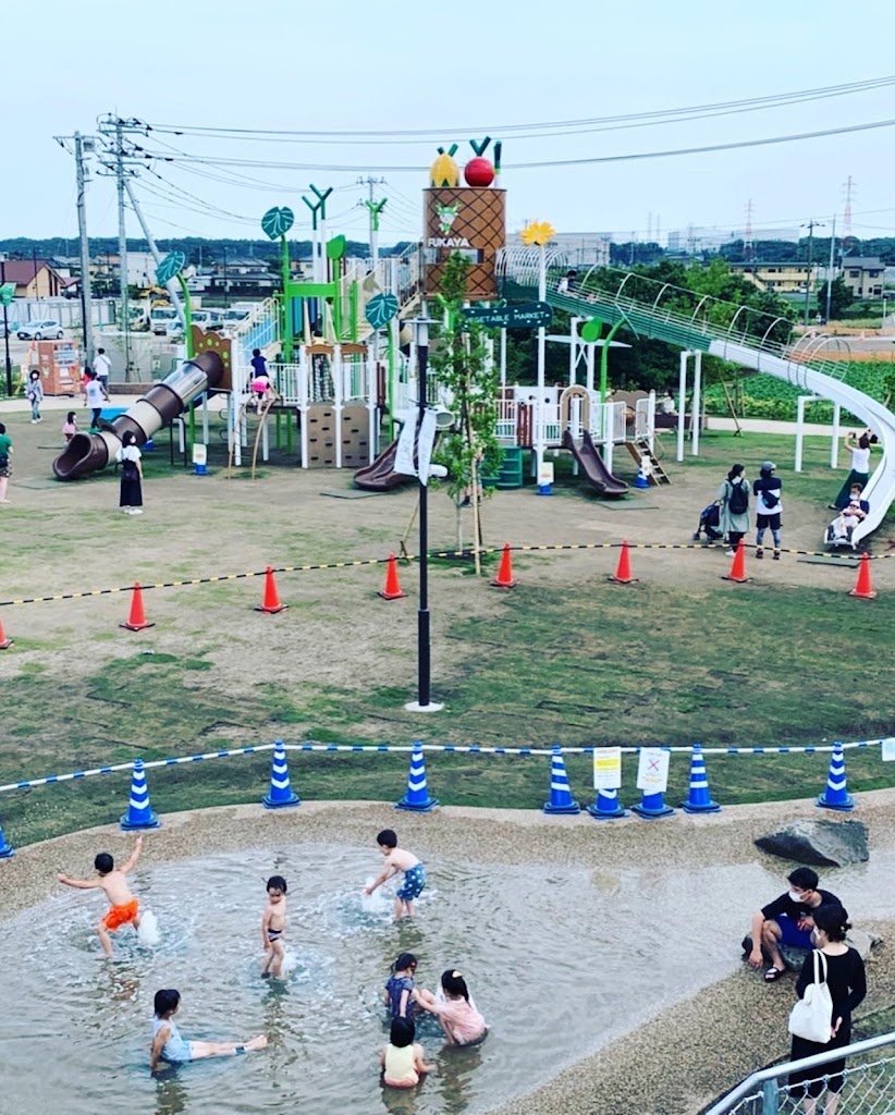 Foto  5