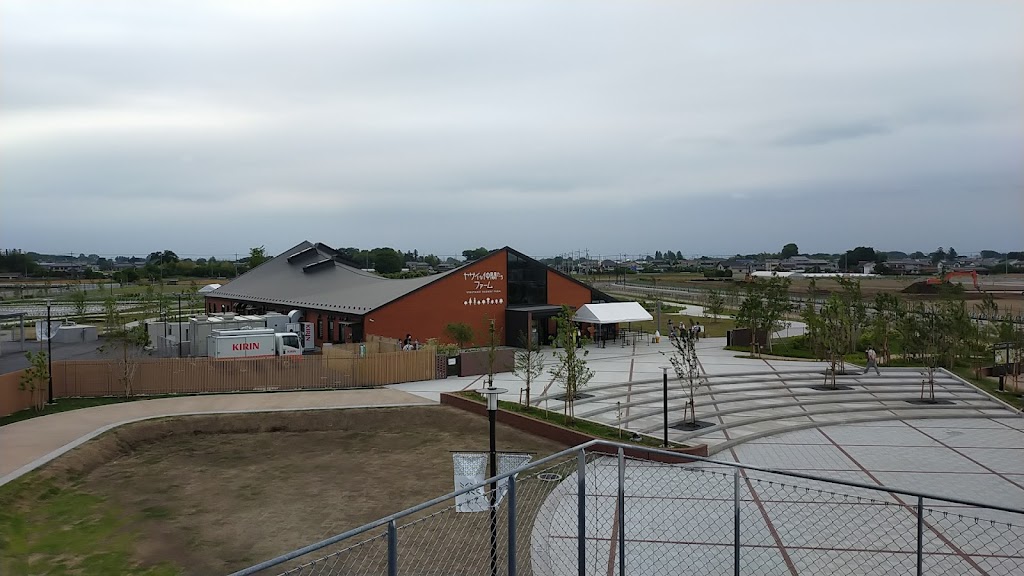 Foto  6