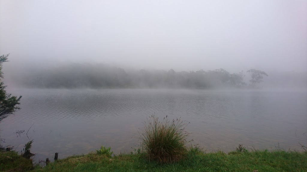 Foto  8