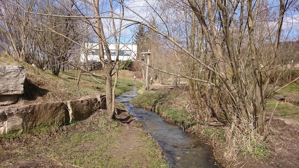 Foto  3