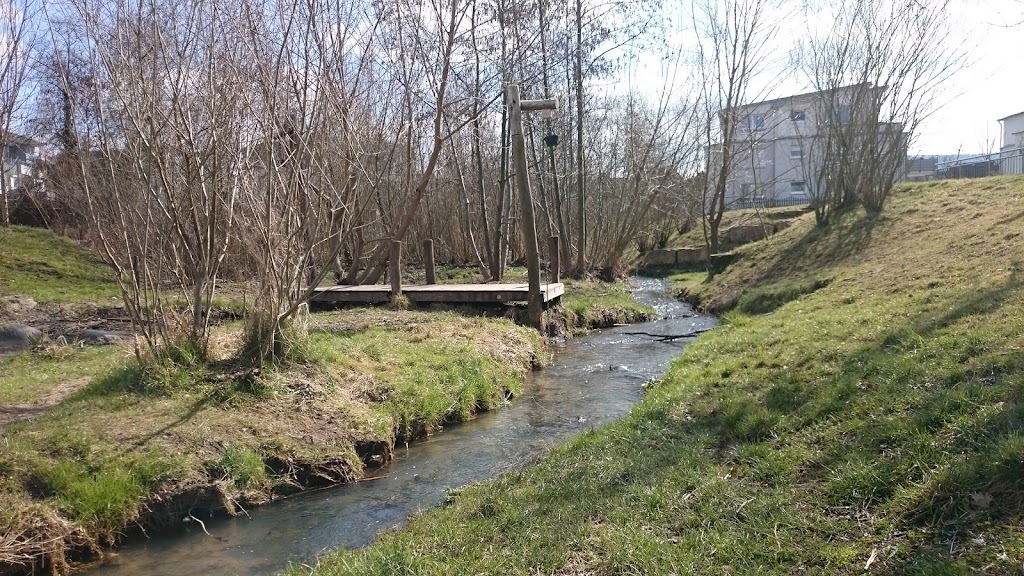 Foto  4