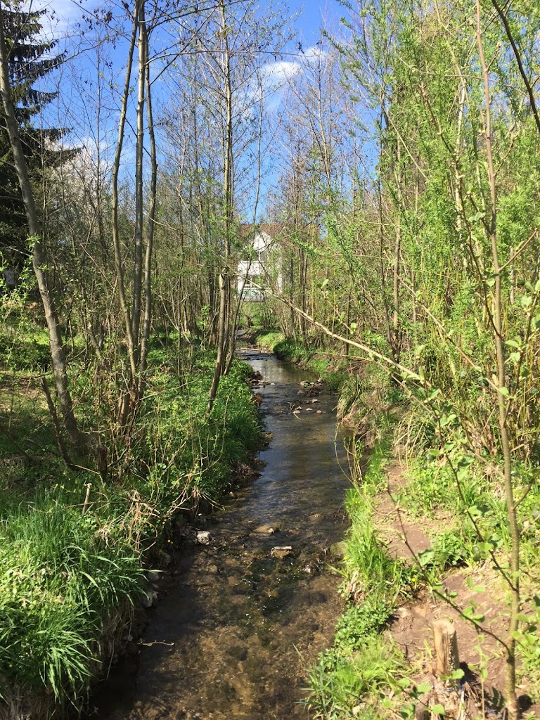 Foto  6